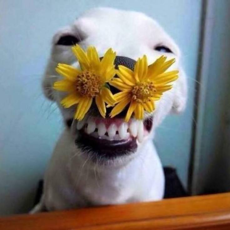 New Floating Solar Air Pump Aerator Pumps For Aquarium Fish Tank Pond Fishing Oxygenation with Air Hoses and Bubble Stone