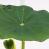 5 Pcs Betta Fish Leaf Pad with Suction Cup Plastic Plants Resting Hammock Fish Tank Accessories Aquarium Decor for Natural Habitat Spawning Breeding