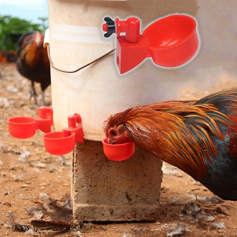 6pcs Poultry Water Dispenser Chicken Goose Universal Automatic Drinker Plastic Water Feeder Quail Drinker Farm Yard Accessories