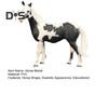 Model koně Realistická PVC figurka koně Socha Skulptura Domácí Kancelář Stolní Dekorace Ornament Vzdělávací Zvířecí Hračka pro Děti