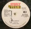 12inch Record GARNETT SILK  PETER WHITE PANCHO  Skylarking  Mi Have Fi Ask VPRD5039 Steely  Clevie 1992 US Reggae Ska  Dub Used