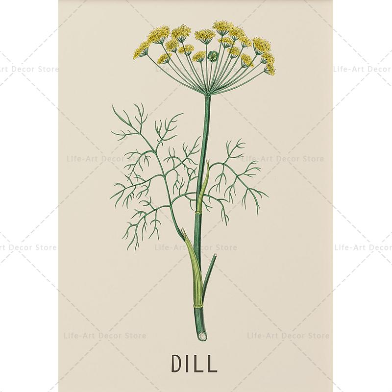 

Растение, цветок, исследование, ретро-постер, ботанический принт, травяные постеры, винтажная живопись на холсте, настенная живопись для гостиной, 21*30cm No Frame