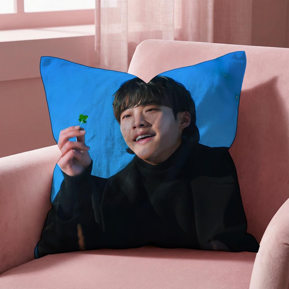 W-Woo Do H-Hwan Cushion Cover Multi-Scene Pillow Cover for Home & Car - Reversible, Soft & Durable for Daily Use