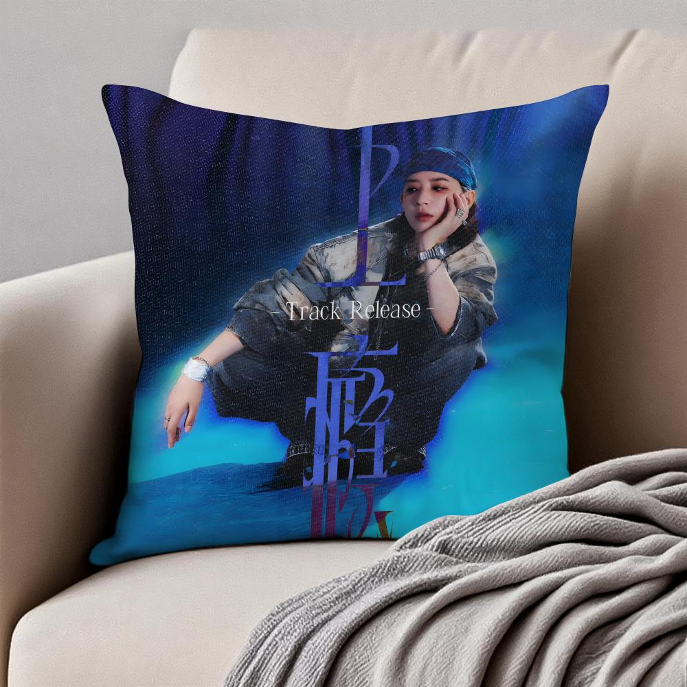 Popular fashionable Chinese singer DDanyLee Cushion Cover Pillowcase Antidustmite Invisible Zipper Short Plush Sofa Cushion