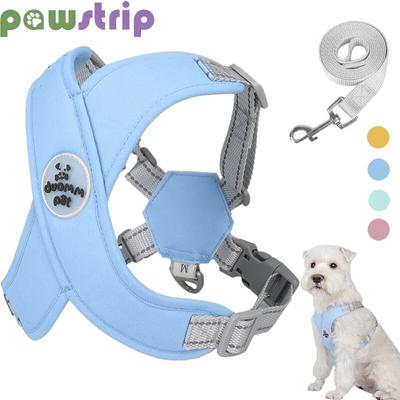 Hundegeschirr-Leine-Set, verstellbar, atmungsaktiv, Netz-Hundegeschirr, Weste für kleine, mittelgroße Hunde, reflektierende Outdoor-Walking-Leine