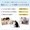 [Large Capacity] Kao Pro Series Kao Biore U Foam Hand Soap 4L Commercial Use Mild Citrus Scent Kao Professional Services