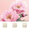 Open 1 Piece Beautiful Camellia Theme Digital Printed Shower Curtain, Polyester Fabric Shower Curtain, Bathroom Accessories