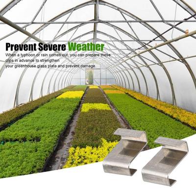Glass Clips Greenhouse Glass Clips Greenhouses & Cold Frames 304 Stainless Steel