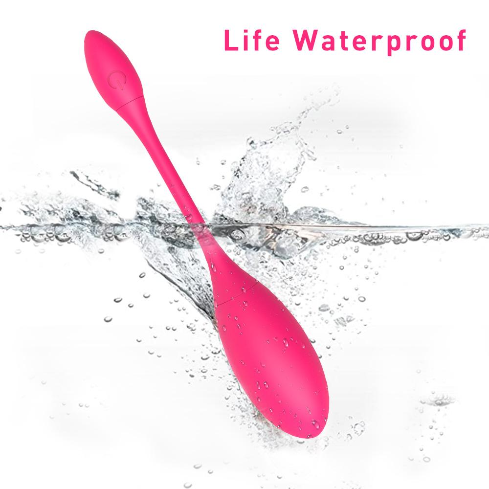 APP Control Electric Shock Vaginal Kegel Ball Vibrator For Women Wireless G Spot Stimulate Vibrating Egg Vibrator Sex Toys Femme