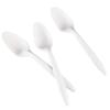 Eco-Friendly Corn Starch Disposable Spoon