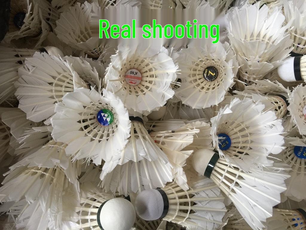 Pre-owned Durable Badminton Training Balls - Box of 6 (70% New)