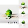 Synthetic Succulent Plant Miniature Potted Decor For Home Office And Diy Craft Projects