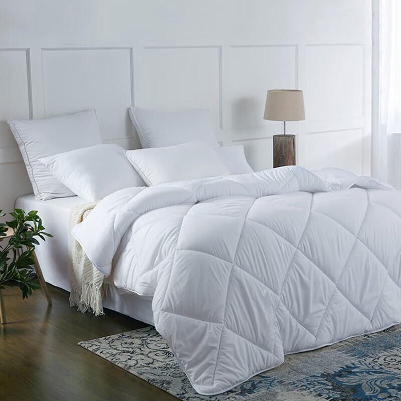 Mengjie Four-Season Comfort Quilt