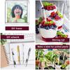 20Pcs Reusable Ice Cream Sticks Acrylic Popsicle Stick Clear Acrylic Ice Cream Sticks DIY Crafts BJL004
