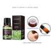 Essential Oil Fragrance 10ML For Air Humidifier Diffuser Air Fresheners Water-soluble Lavender Rose Sandalwood Flavoring Perfume