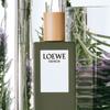 Loewe Essentia Eau de Toilette Pour Homme 50ml