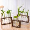Hydroponische groene plant reageerbuis vaas watergekweekte bloemstuk plantenbak eenvoudig houten frame decoratie creatief glas
