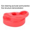 Soft Silicone Simulation Left Human Ear Model Ear Display Teaching Aid Model