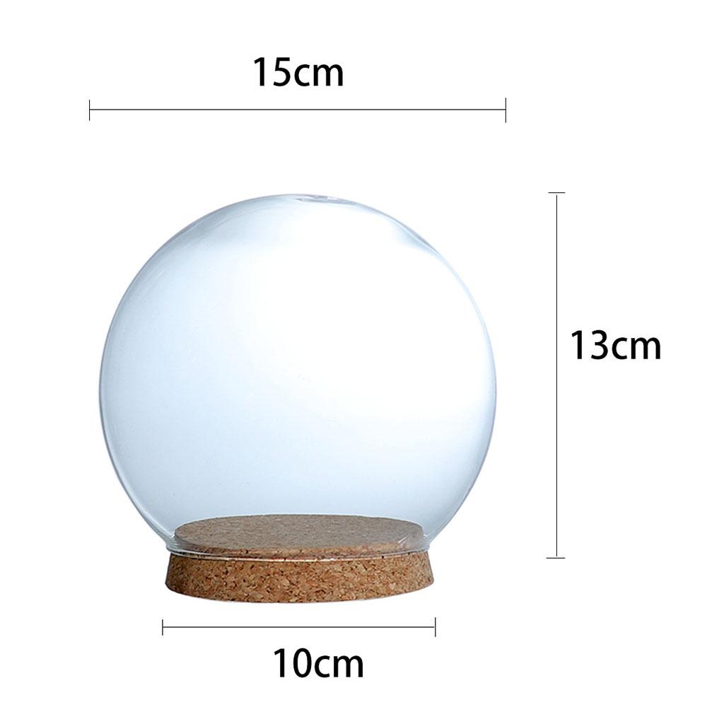 Modern Handcraft Glass Dome Cover Dry Flower Vase with Wood Cork Base Landcrape Figurines Model Display Artwork