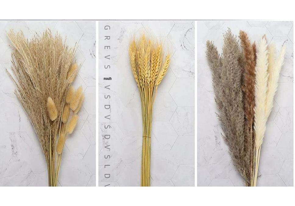 Nordic Style Dried Flower Bouquet: Mixed Arrangement with Small Reeds, Bunny Tail Grass, and Duster for Home Decoration.