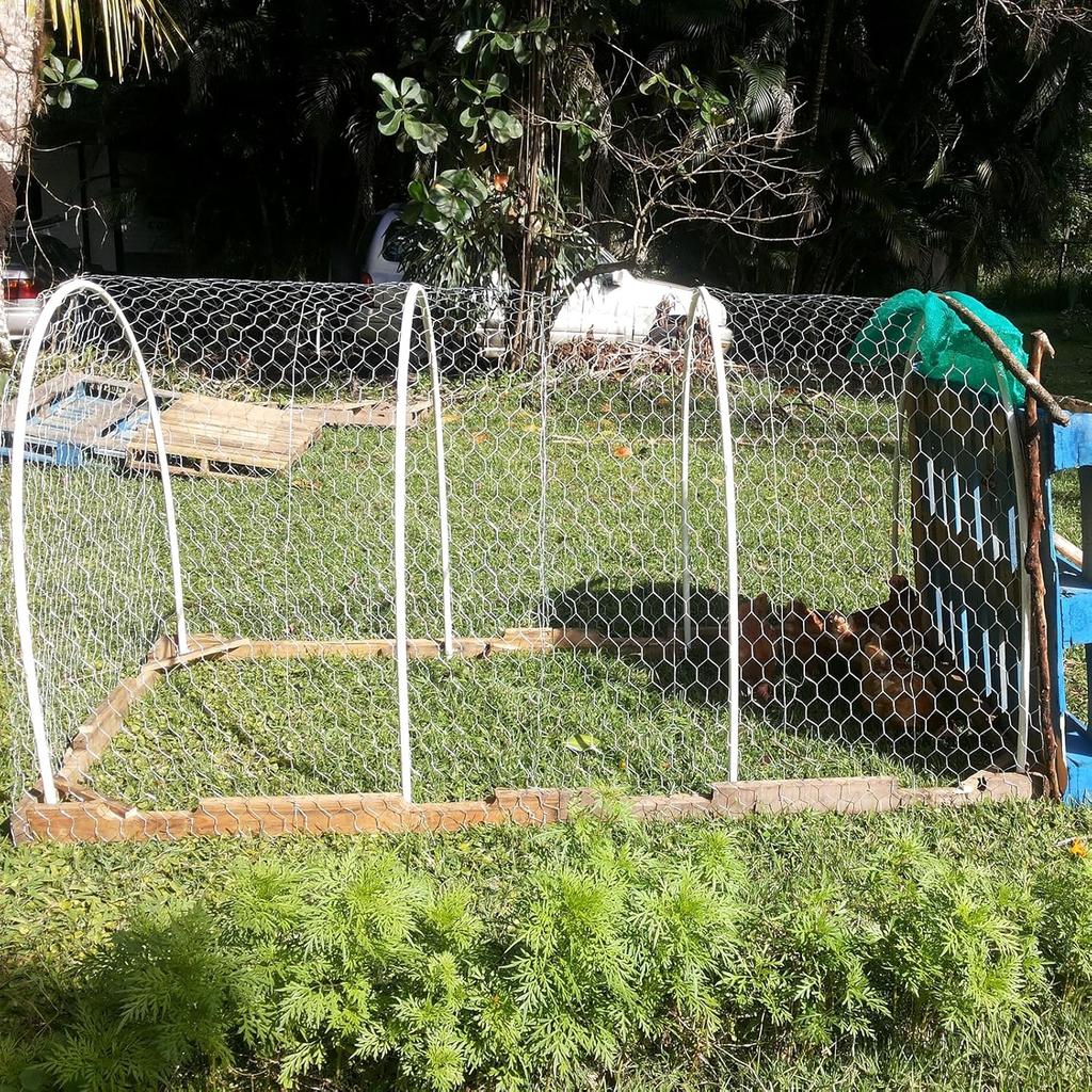 Chicken Wire Mesh Roll 40cm x 10m, Galvanized Hexagonal Fencing Wire Mesh Garden Fence Protective Metal Net with Cutting Pliers, Gloves and 100 Cable