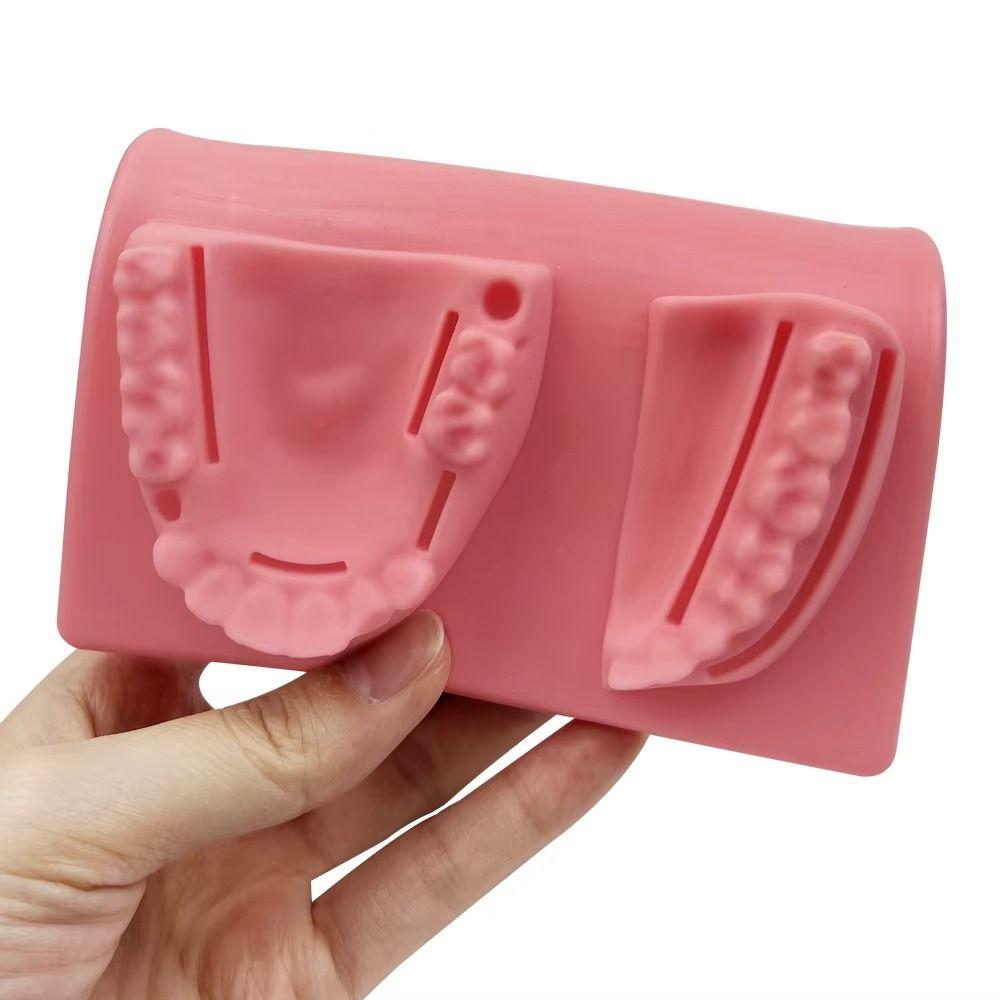 Suturing Practice Dental Teaching Model Gingival Suture Training Model  For Dentisit Teaching