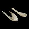 NHZHIW 3000-Count Durable Rice Husk Disposable Spoons