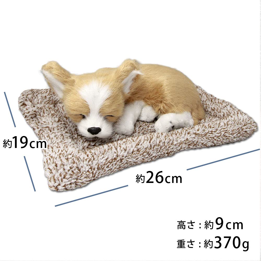 TATOTTE Realistische Plüschhundfigur mit einem niedlichen schlafenden Gesicht, Aktivkohle enthalten, Beruhigende Dekoration (Chihuahua CR)