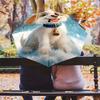 0106 Snowflake Dog  pattern, automatic folding umbrella, portable and foldable design, 8 ribs, a Christmas or birthday gift.