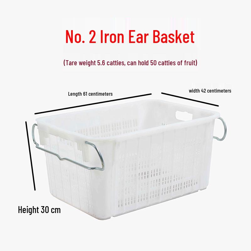 Plastic Turnover Box for Vegetable & Fruit Storage and Transport