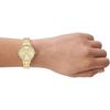 Skagen Women's Watch SKW3127 Gold