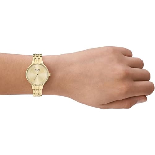 Skagen Women's Watch SKW3127 Gold