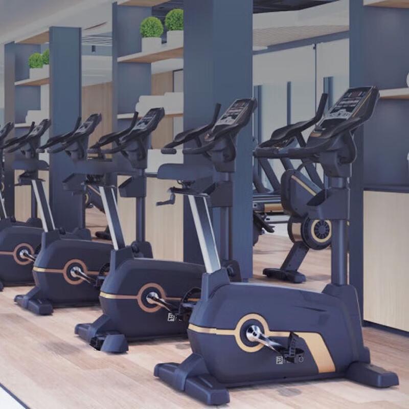 FEEBO Commercial & Home Self-Generating Exercise Bike CN plug (adapter included)