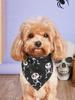 Halloween Dog Bandana, Pumpkin and Spider  Web Bibs Triangle  Pet Scarf, Multiple Sizes  Soft and  Adjustable Fit