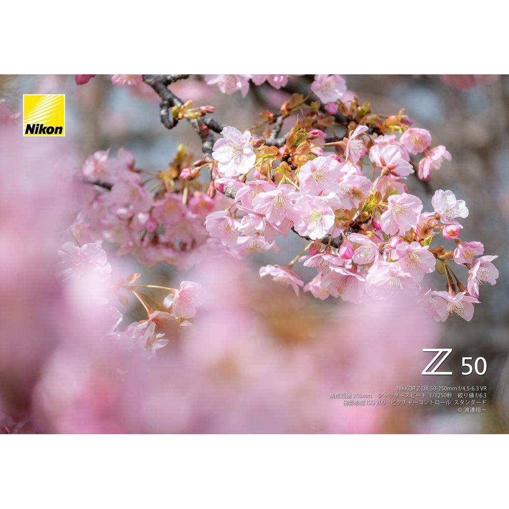 Nikon Teleobjektiv se zoomem NIKKOR Z DX 50-250 mm f4,5-6,3 VR Z Mount DX objektiv NZDXVR50-250