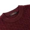 Qipai Men's Pure Wool Double-Layer Round Neck Pullover Sweater