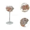Conch Shell Champagne Glass Cup for Celebrations, Unique Drinkware for Adults Home Bar Wedding Favor Decoration Artistic Display