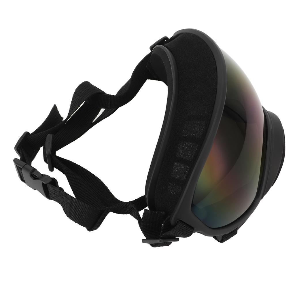 Gogle dla psa Anti UV Wysoka odporność na uderzenia Regulowane elastyczne Gogle dla psa rasy dużej Zwierzę domowe