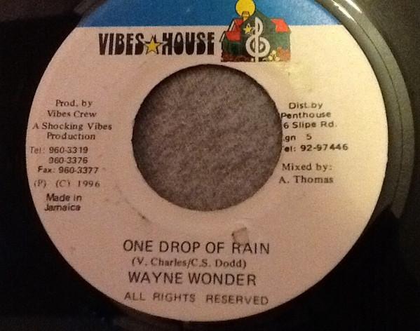 

7inch Record WAYNE WONDER One Drop Of Rain NONE VIBES HOUSE 1996 Jamaica Reggae Ska Dub Used