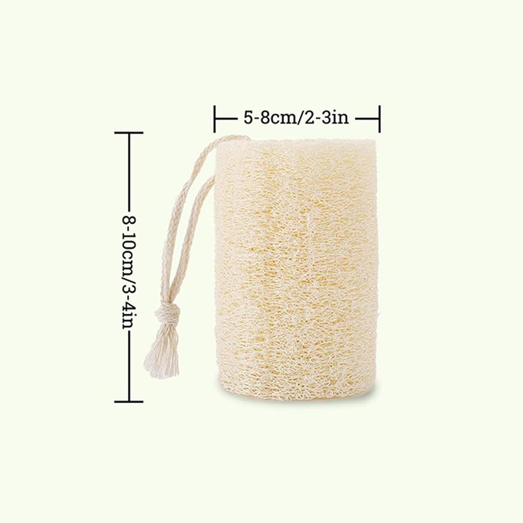 Kaninleksaker Naturlig Luffa Stöd Näring Lekgodis 4 Stycken Hälsosam Hamsterleksak För Husdjur Smådjur Chinchillafamiljen