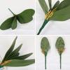 FagusHome 8 PCS Artificial Phalaenopsis Orchids Leaves 11 inches Green Faux Orchids Leaf (8 Pcs)