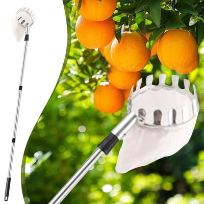 Fruchtsammlerstange Fruchtsammlerstange Mit Korb Ergonomisches Gadget Professionelle Ausrüstung Fänger Zum Pflücken Ernten