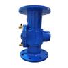 DF41X Flange Backflow Preventer Valve