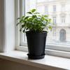 Květináč na orchideje s podmiskou Květináč s bočními větracími štěrbinami Květináč s drenážními otvory Zabraňuje hnilobě pro Phalaenopsis Růže Vnitřní Venkovní Použití