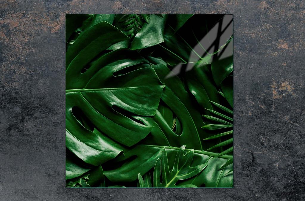 SZKLANA PŁYTA OCHRONNA NA KUCHENKĘ 50x52 MONSTERA