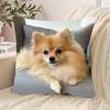 1 Piece Pomeranian Print Pillowcase, Machine Washable, 100% Polyester, Zipper Closure