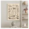 Trykk Biologi Vegg Art Dekor, Hest illustrasjon Dyreplakat Lerret Maleri Kontordekor Vintage fransk hest Anatomi diagram uten ramme