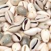 50Pcs 11x16mm Natural Shell Shaped Beads For Jewelry Making Mini Pendant DIY Handmade Necklace Phone Chain Gift Accessories