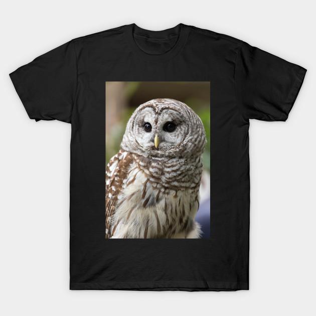 Men Black Print T-shirt Barred Owl Portrait No-Cut Transfer Paper Print Cotton Tshirt S