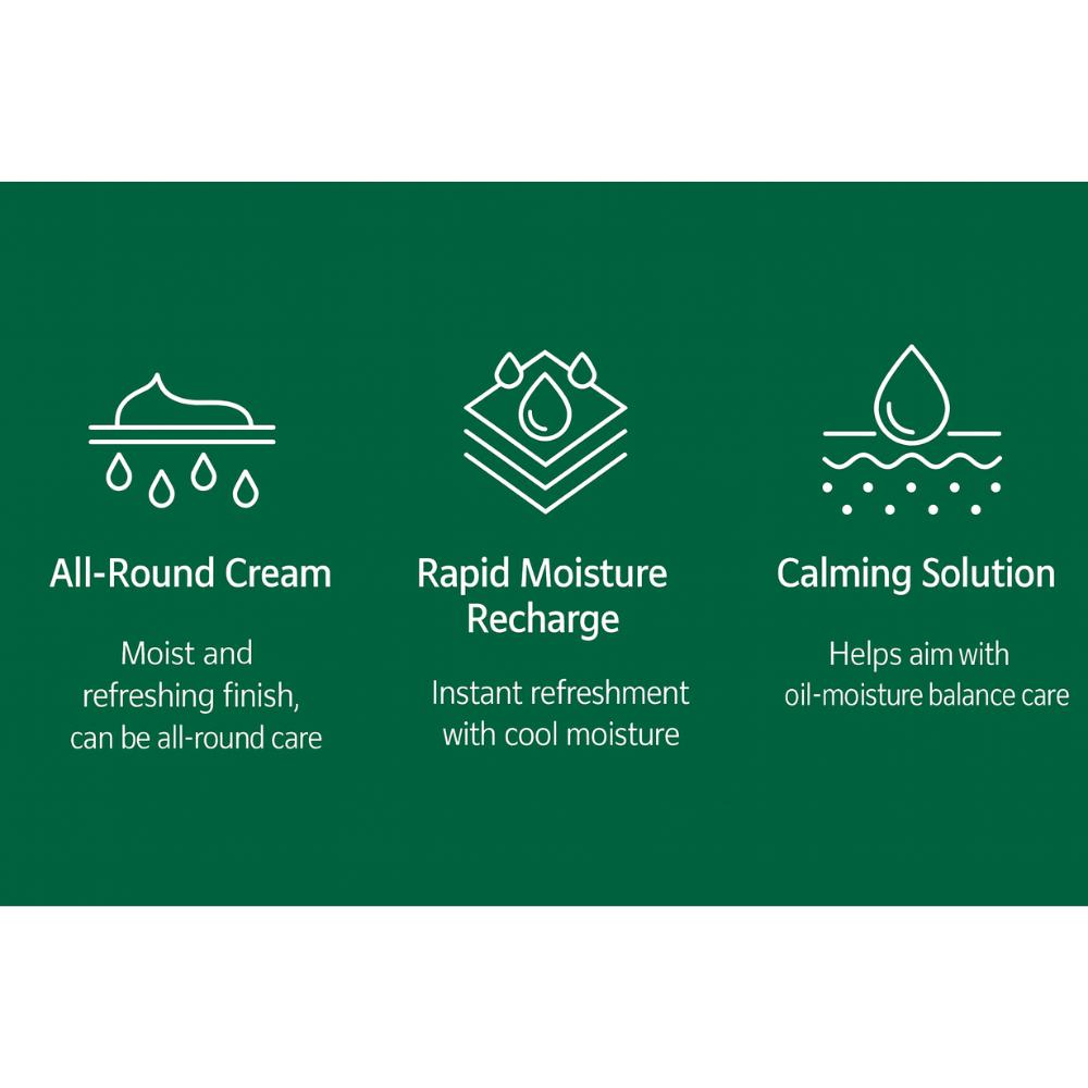 [VT COSMETICS] Cica Cream Plus 100ml